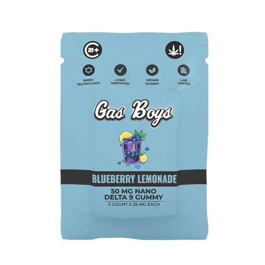 Blueberry Lemonade Nano Delta 9 Gummies 50MG Bag
